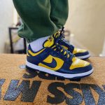 Dunk Low Michigan