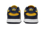 Nike Dunk Low Kids CW1589-700