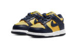 Nike Dunk Low Kids CW1589-700