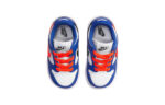 Nike Dunk Low Kids CW1589-104